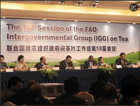 聯(lián)合國(guó)糧農(nóng)組織政府間茶葉工作組第18屆會(huì)議