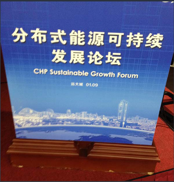 中美分布式能源可持續發展論壇在長沙舉行－百睿德提供同聲翻譯服務